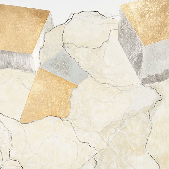 https://ucenter.mirunadragan.com/files/gimgs/th-23_Erratics-Draw1-detail-web_v3.jpg